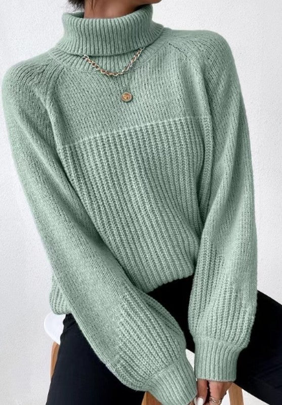 Knit Turtleneck Sweater