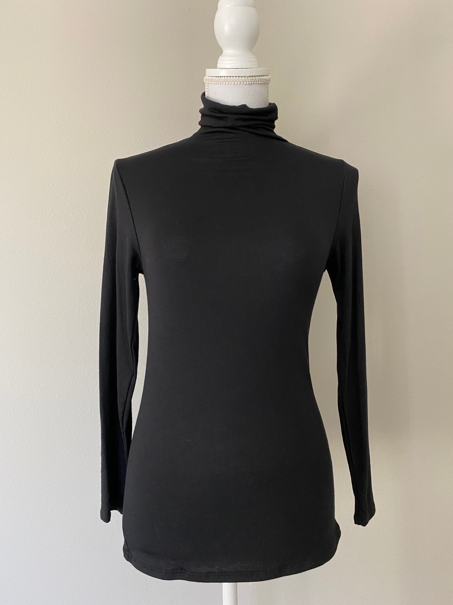 Solid Fitted Turtle Neck