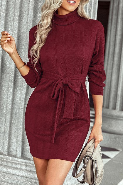 Turtle Neck Long Sleeve Sweater Dress